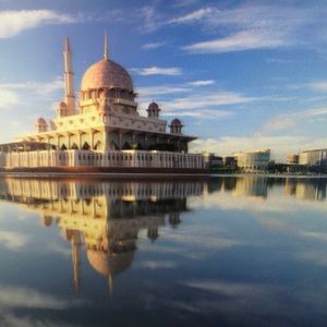 Meet your Posher, Anne